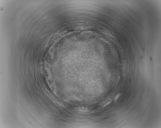 X0000056320361200509092308