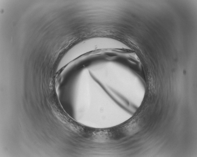 X0000056320362200509092308