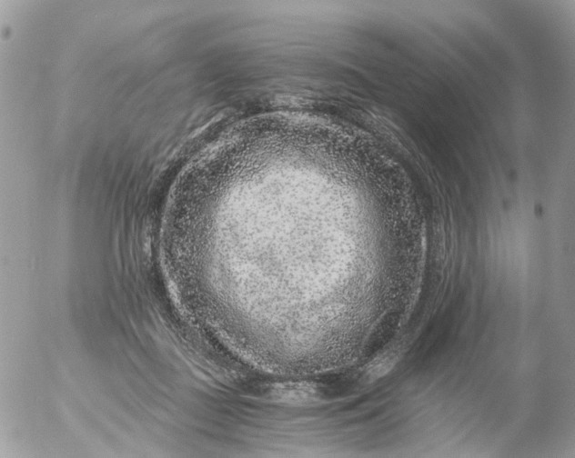 X0000056320363200509092308