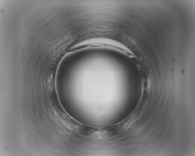 X0000056320364200509092308