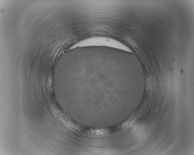 X0000056320365200509092308