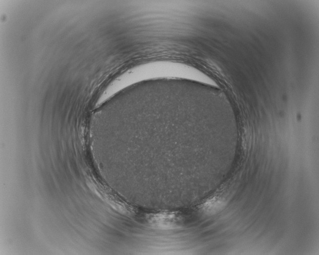 X0000056320366200509092308