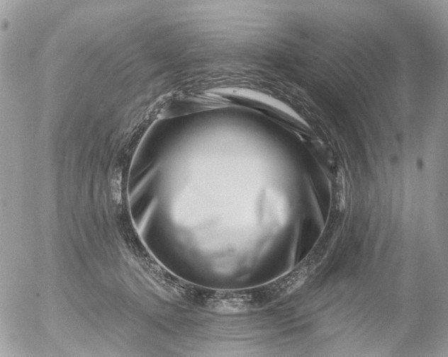 X0000056320368200509092308