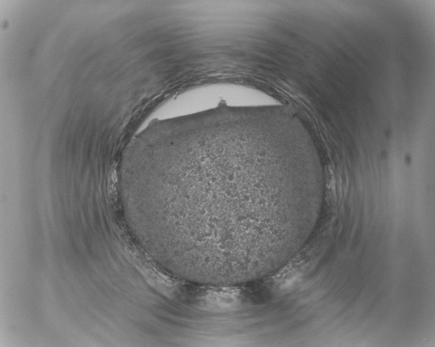 X0000056320369200509092308