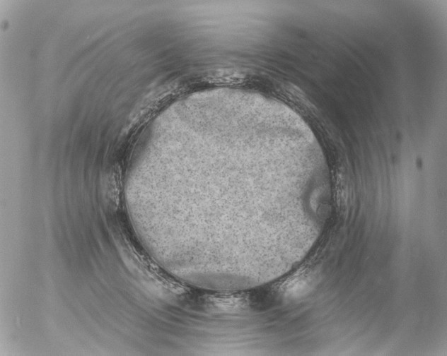 X0000056320370200509092308