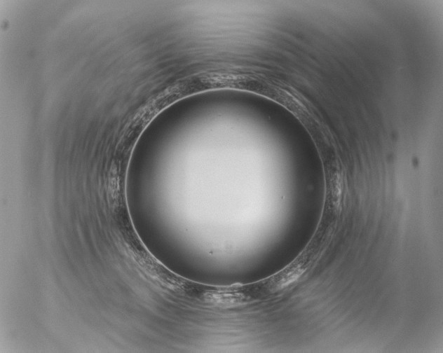 X0000056320372200509092308