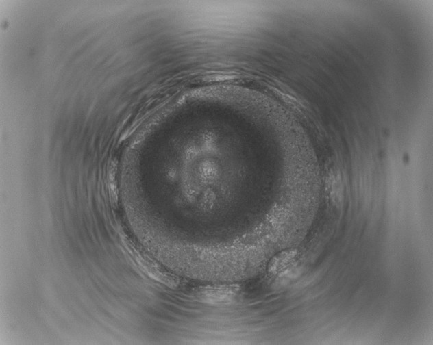 X0000056320373200509092309