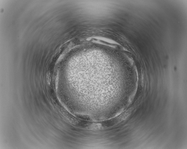 X0000056320374200509092309