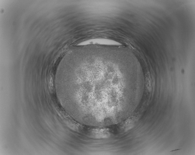 X0000056320375200509092309