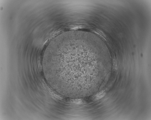 X0000056320377200509092309