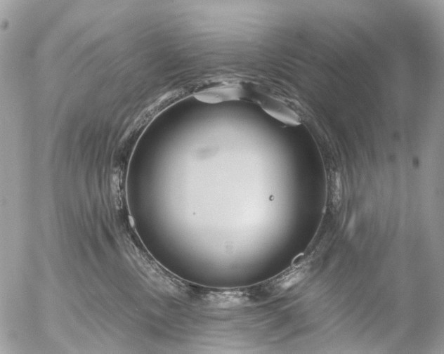 X0000056320378200509092309