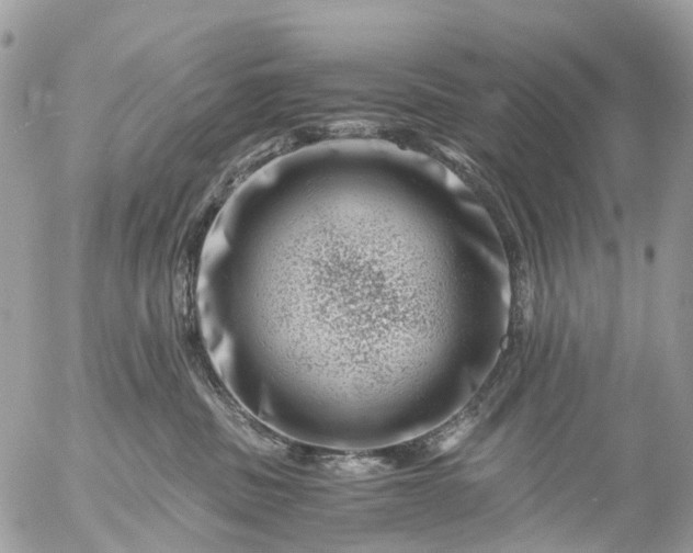 X0000056320379200509092309