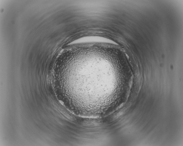 X0000056320381200509092309