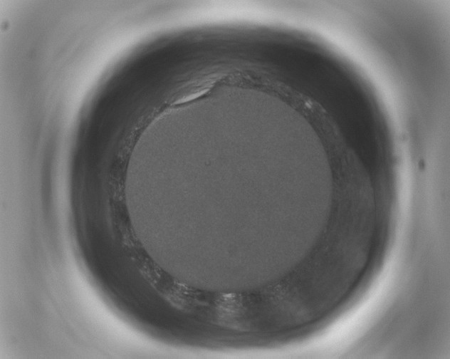 X0000056320382200509092309