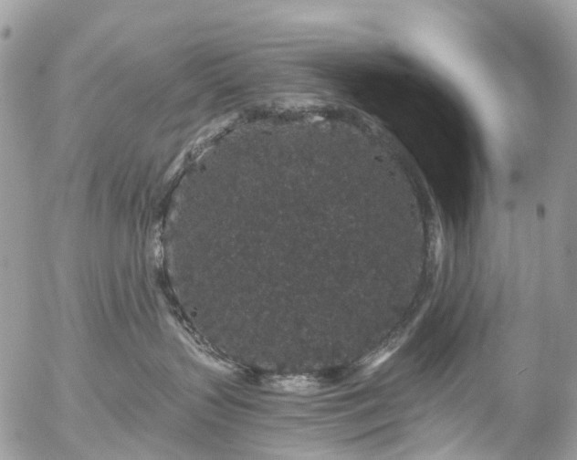 X0000056320383200509092309