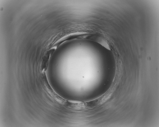 X0000056320384200509092309