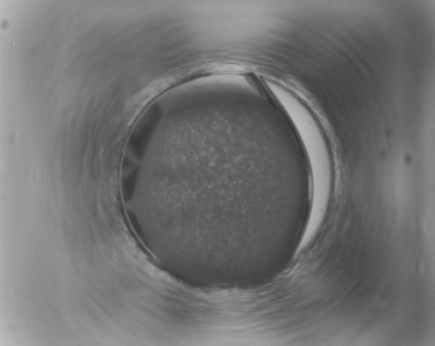 X0000056320385200509092308