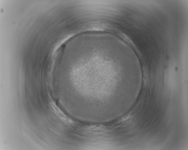 X0000056320386200509092308