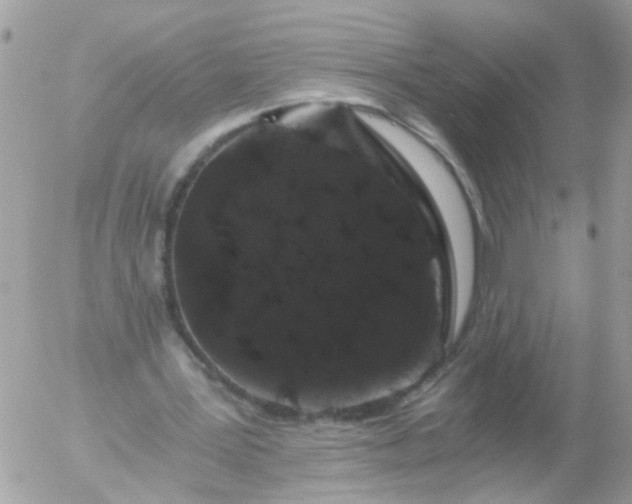 X0000056320387200509092308