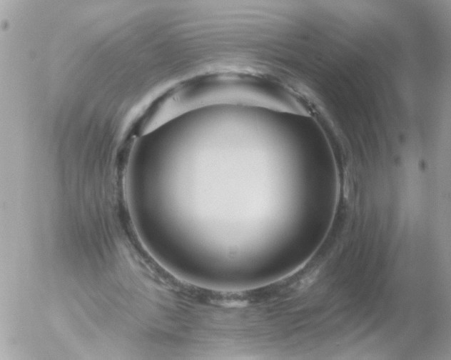 X0000056320388200509092308