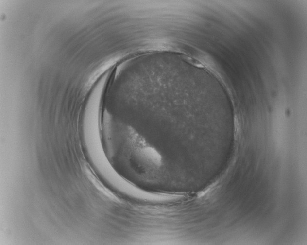 X0000056320389200509092308