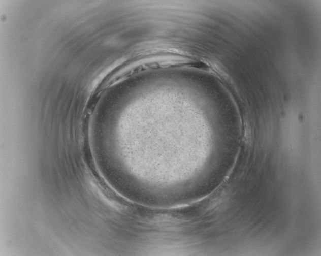 X0000056320390200509092308