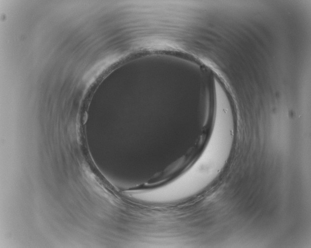 X0000056320391200509092308