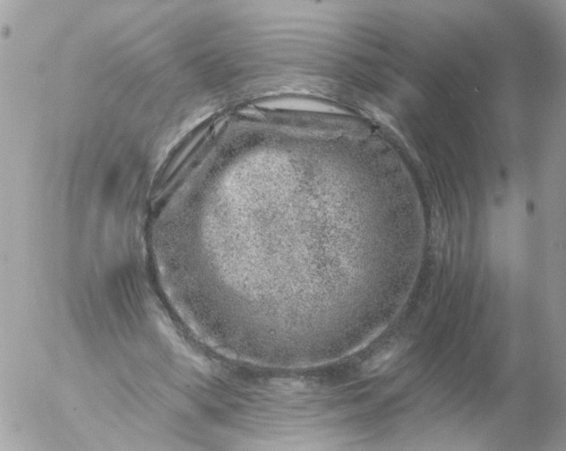 X0000056320394200509092308