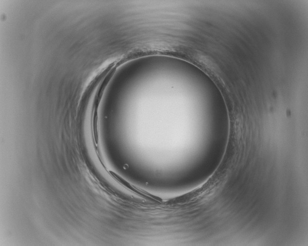 X0000056320395200509092308