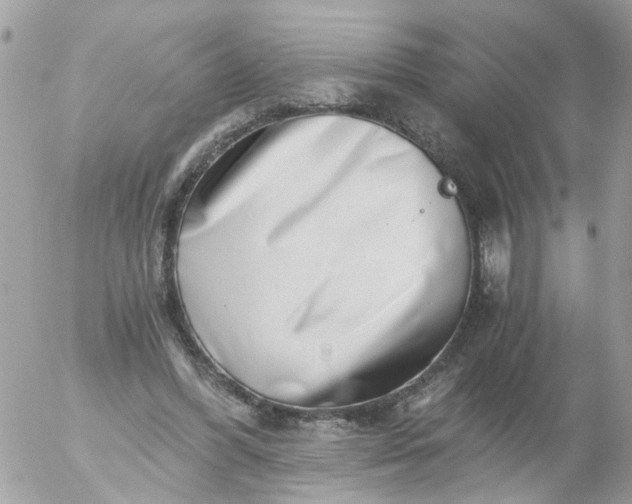 X0000056320396200509092308