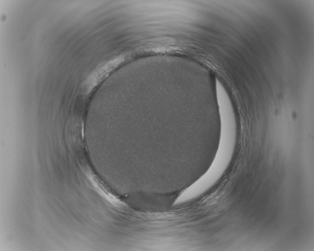 X0000056320397200509092308