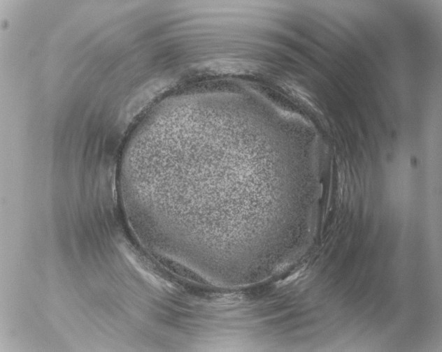 X0000056320398200509092308