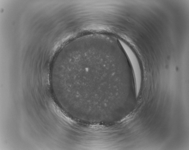 X0000056320399200509092308