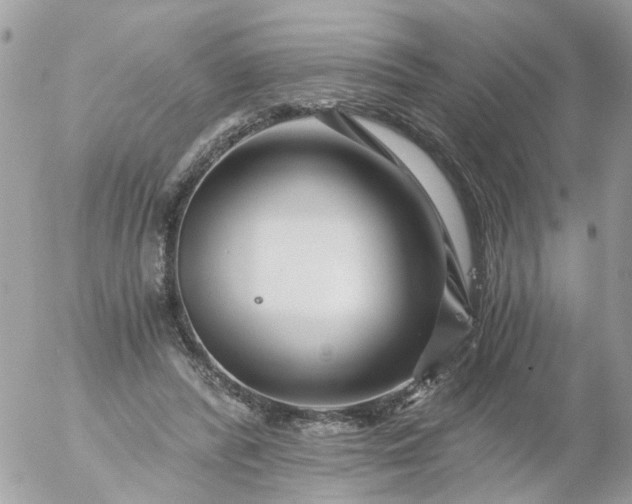 X0000056320400200509092308