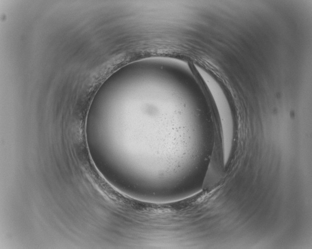 X0000056320401200509092308