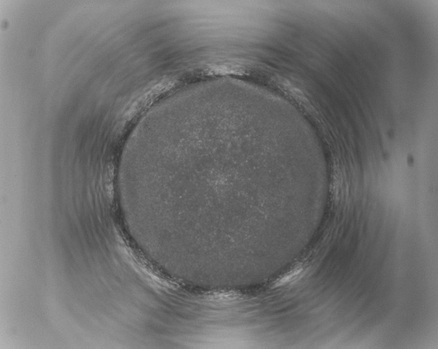 X0000056320402200509092308