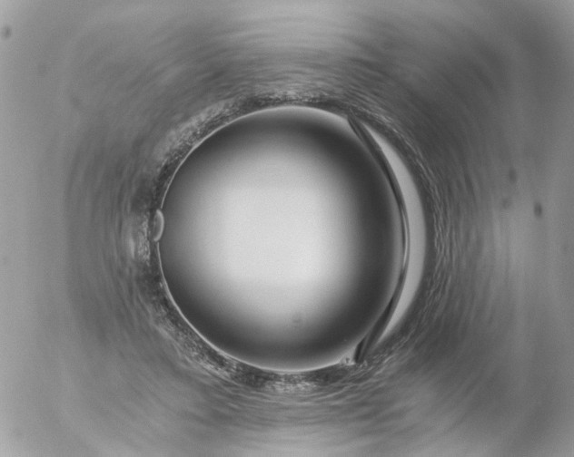 X0000056320403200509092308