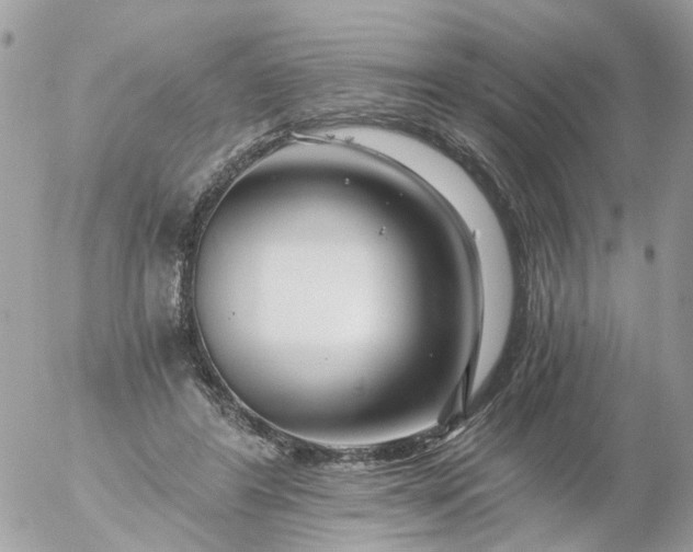 X0000056320404200509092308