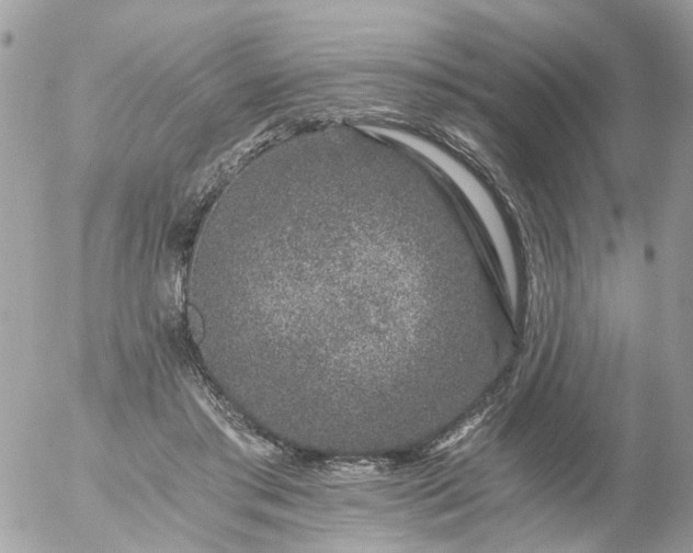 X0000056320405200509092308