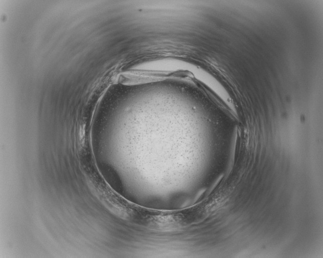 X0000056320406200509092308