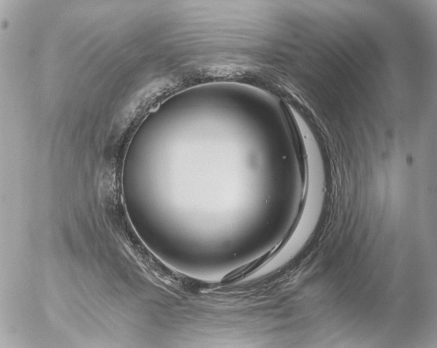 X0000056320407200509092308