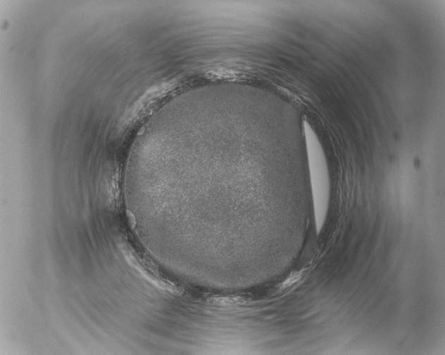 X0000056320408200509092308