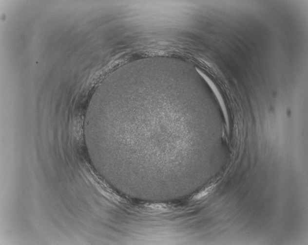 X0000056320409200509092308