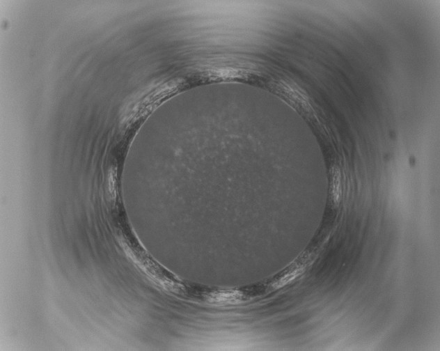 X0000056320410200509092307