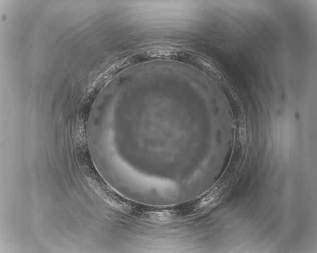 X0000056320411200509092307