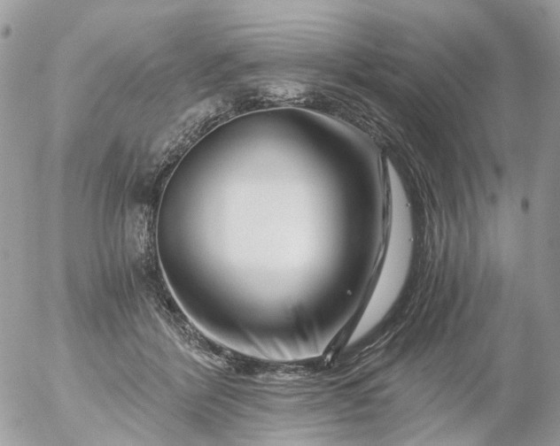 X0000056320412200509092307