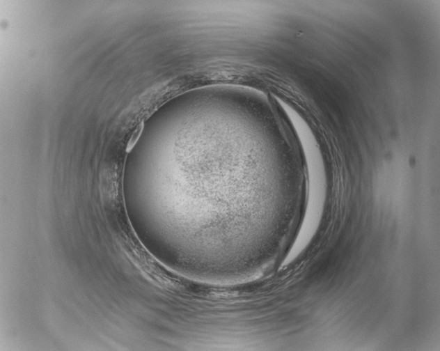 X0000056320413200509092307