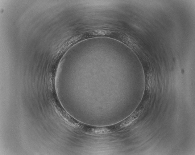 X0000056320414200509092307