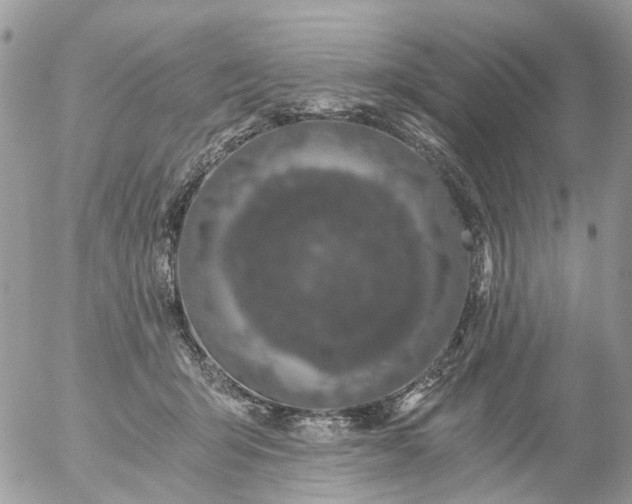 X0000056320415200509092307