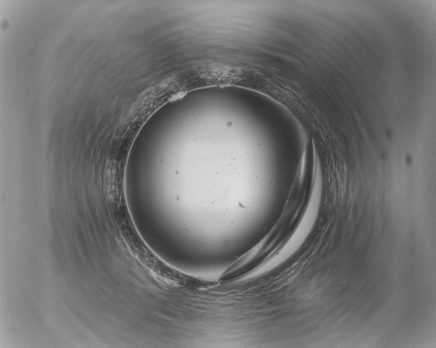 X0000056320416200509092307